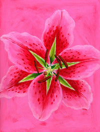 Lily Poster Print by Brian James showcasing vibrant floral beauty.