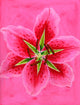 Lily Poster Print by Brian James showcasing vibrant floral beauty.