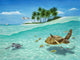 Breezin poster print by Carolyn Steele featuring serene artwork.