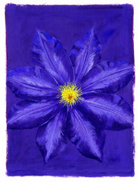 Clematis Floral Poster Print by Brian James showcasing vibrant colors and intricate details.