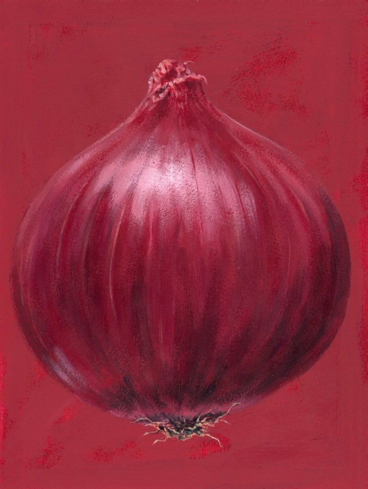 Red Onion Poster Print by Brian James showcasing vibrant colors