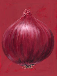 Red Onion Poster Print by Brian James showcasing vibrant colors