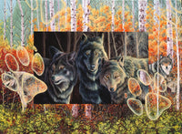 Step Lightly Poster Print by Graeme Stevenson - Nature Art
