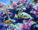 Aquarium Poster Print by Alixandra Mullins featuring vibrant marine life.