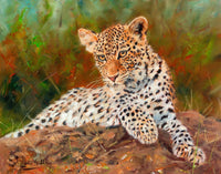 Leopard Cub Resting on Rock Poster Print by David Stribbling