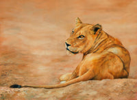 Lioness Chad Poster Print by David Stribbling showcasing a powerful lioness in nature.