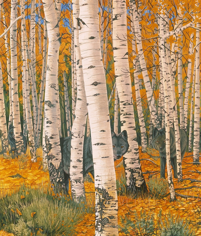 Autumn's Eyes Poster Print by Graeme Stevenson showcasing vibrant autumn colors.