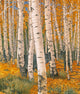 Autumn's Eyes Poster Print by Graeme Stevenson showcasing vibrant autumn colors.