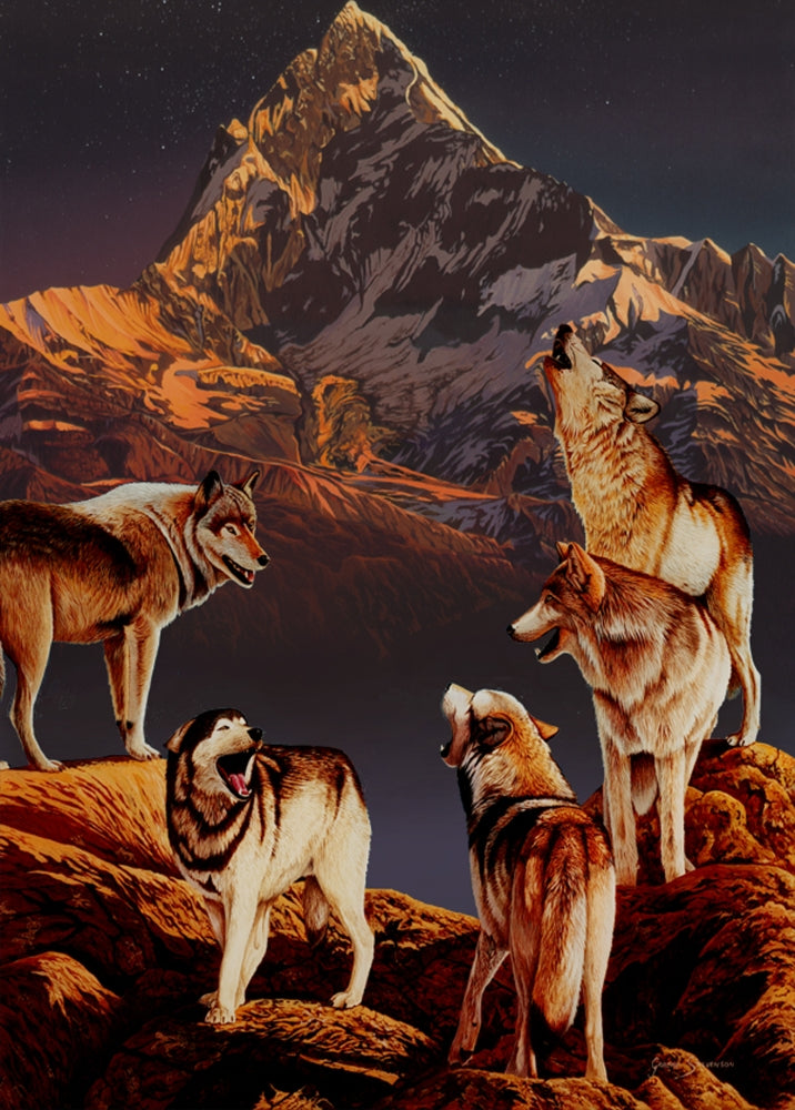 Wolf Poster Print by Graeme Stevenson featuring a majestic wolf in its natural habitat.