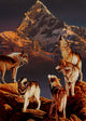 Wolf Poster Print by Graeme Stevenson featuring a majestic wolf in its natural habitat.