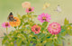 August Poster Print by Haruyo Morita showcasing vibrant summer colors.