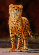 Cheetah Cub Poster Print by David Stribbling showcasing an adorable cheetah cub.