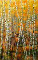 Autumn Stags Poster Print by Graeme Stevenson featuring majestic stags in autumn scenery.