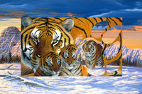 Siberian Sunset Poster Print by Graeme Stevenson, vibrant sunset over Siberian landscape
