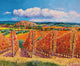 Vineyards in Autumn Poster Print by Jean-Marc Janiaczyk