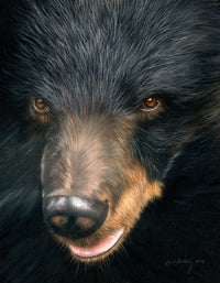 Trixie Moon Bear Poster Print by David Stribbling, showcasing a whimsical bear in a serene setting.
