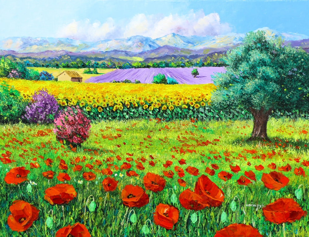 Provencal Flowers Art Print by Jean-Marc Janiaczyk showcasing vibrant floral colors