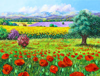 Provencal Flowers Art Print by Jean-Marc Janiaczyk showcasing vibrant floral colors