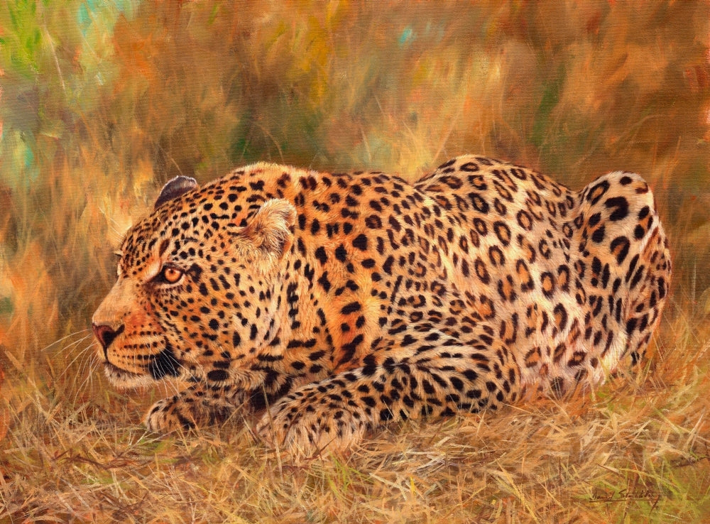 Leopard Crouching Art Print by David Stribbling, showcasing a majestic leopard in a natural pose.