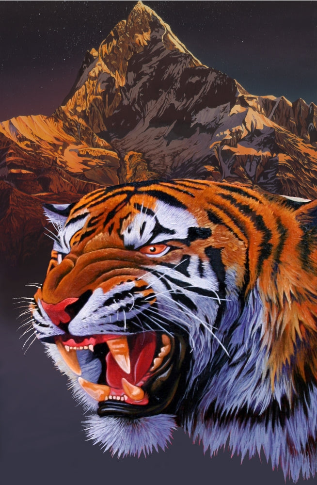 Tiger Mount Poster Print by Graeme Stevenson showcasing a majestic tiger.