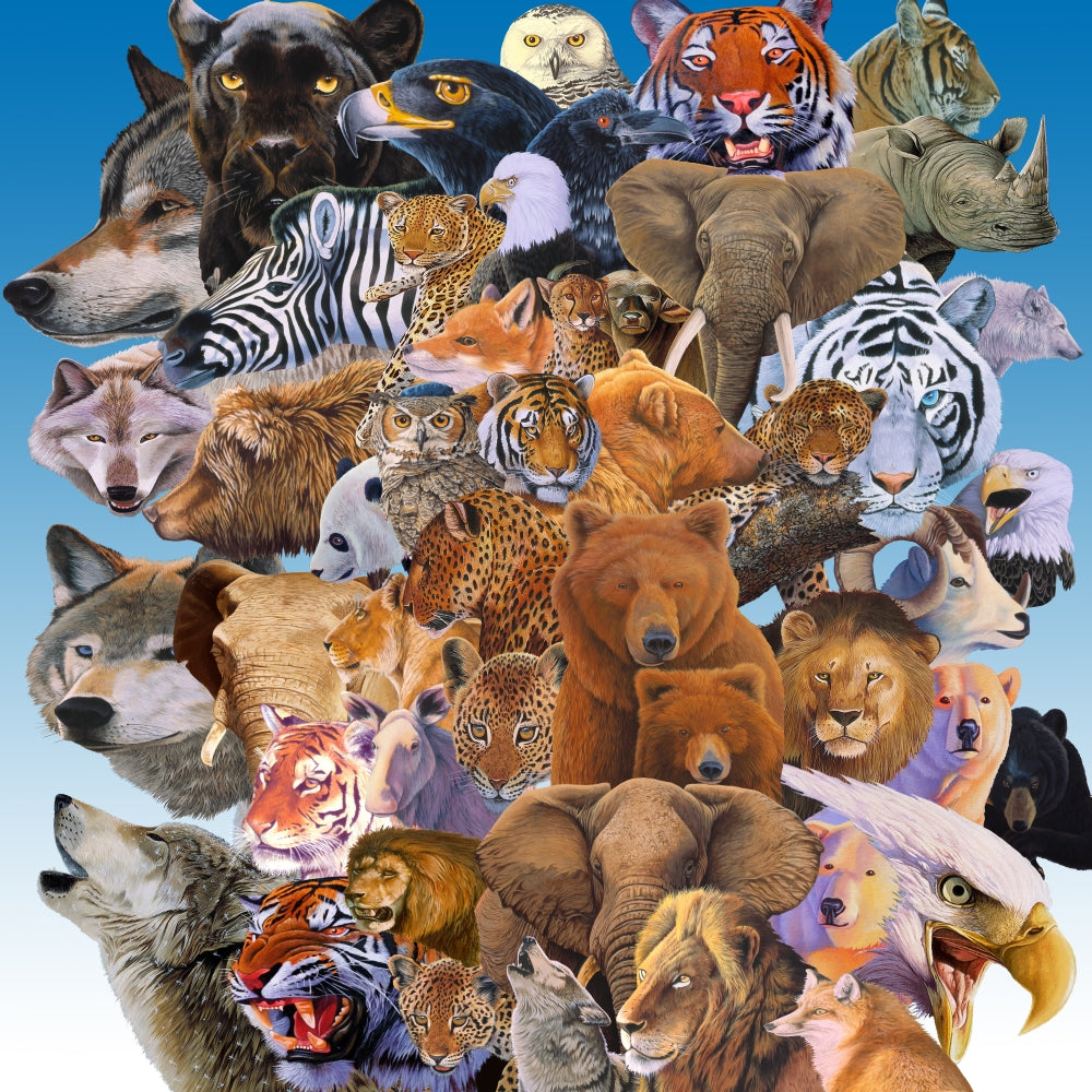 The Menagerie Poster Print by Graeme Stevenson showcasing vibrant wildlife art.