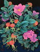 November Poster Print by Haruyo Morita showcasing autumn colors.