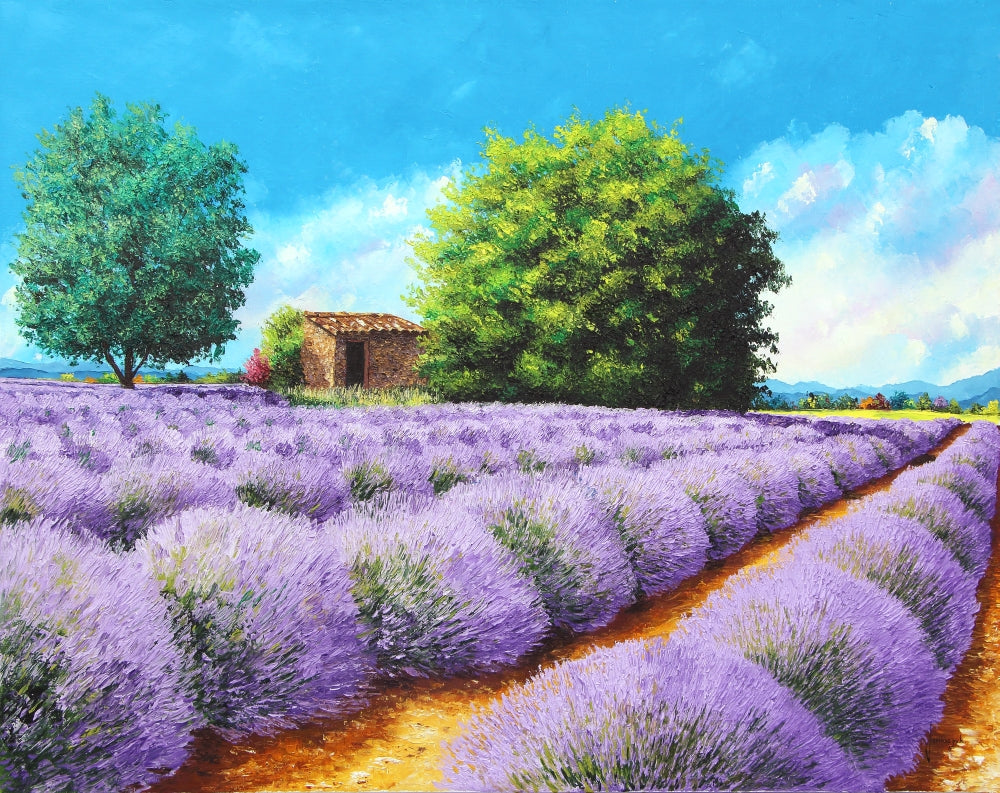 Lavender Lines Poster Print by Jean-Marc Janiaczyk showcasing vibrant colors and elegant design.