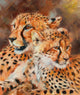 Mother and Child Leopards Poster Print by David Stribbling showcasing wildlife beauty