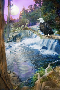 Eagle Falls Poster Print by Alixandra Mullins showcasing a beautiful waterfall in nature.