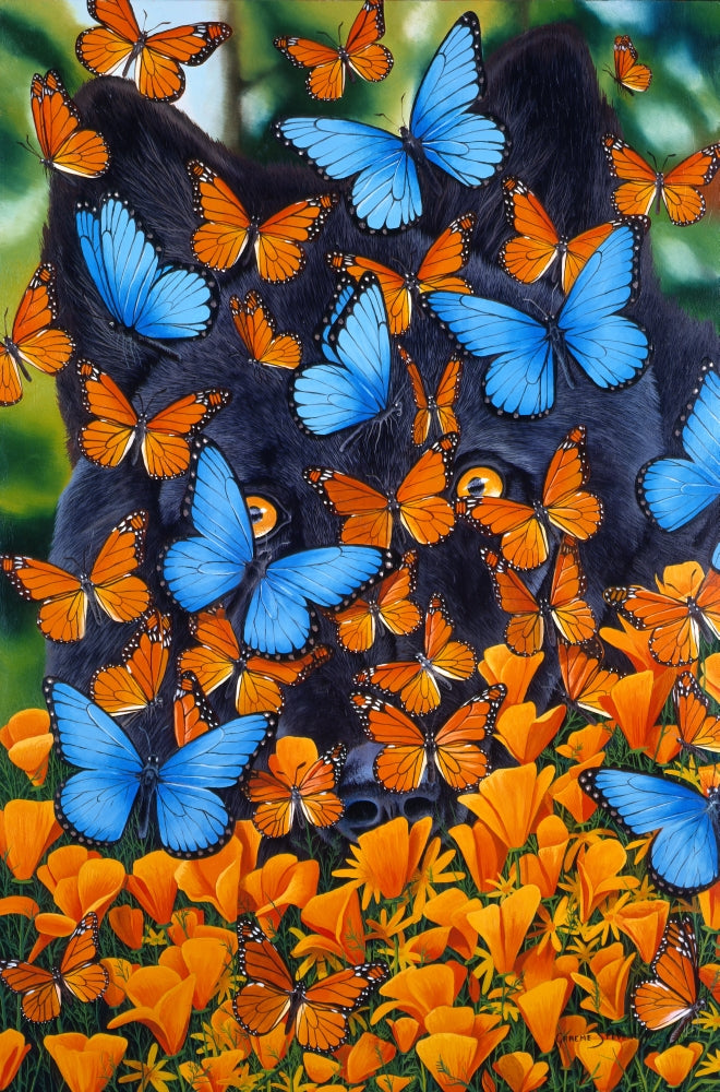 Autumn Butterflies Poster Print by Graeme Stevenson showcasing vibrant butterflies and autumn foliage.