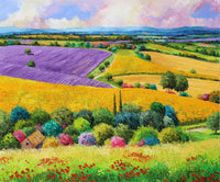 Provencal Fields Art Print by Jean-Marc Janiaczyk showcasing vibrant French countryside.