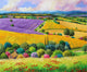 Provencal Fields Art Print by Jean-Marc Janiaczyk showcasing vibrant French countryside.