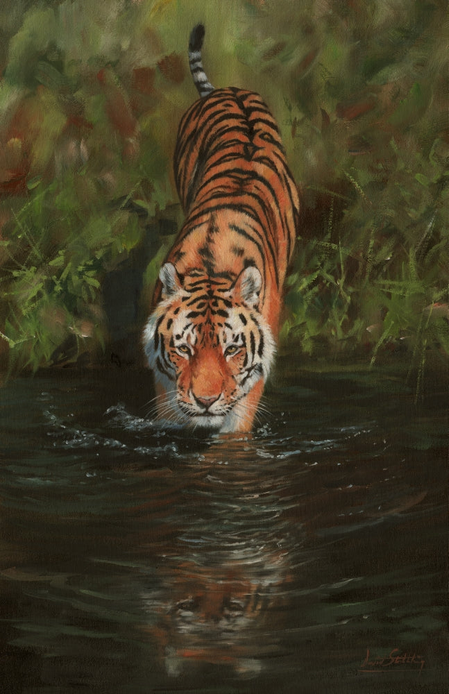 Cool Poster Print by David Stribbling showcasing vibrant colors.