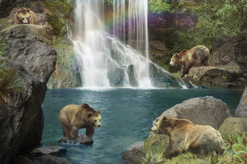 Bear Falls Poster Print by Alixandra Mullins showcasing serene waterfall and nature.