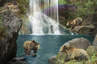 Bear Falls Poster Print by Alixandra Mullins showcasing serene waterfall and nature.