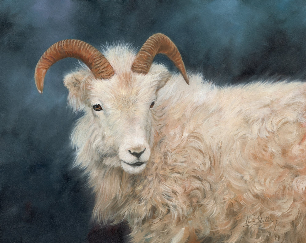 Mountain Goat Portrait Oil on Canvas Print by David Stribbling