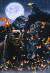 Ebony Poster Print by Graeme Stevenson showcasing rich tones and intricate details.