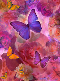 Sunrise Rainbow Flowers Poster Print by Alixandra Mullins
