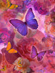Sunrise Rainbow Flowers Poster Print by Alixandra Mullins