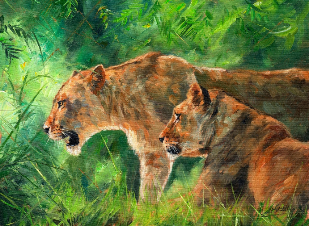 Lionesses Forest Poster Print by David Stribbling featuring majestic lionesses in a lush forest.