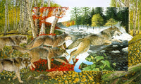Seasons of the Wolf Poster Print by Graeme Stevenson showcasing wolves in nature.