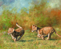 Lion Cubs Running Oil on Canvas Poster Print by David Stribbling