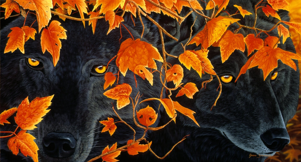 Three Wolves Poster Print by Graeme Stevenson showcasing majestic wolves in nature.