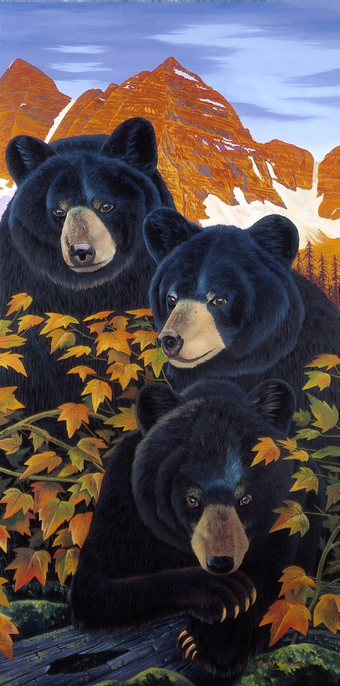 Three's Trouble Poster Print by Graeme Stevenson, colorful and whimsical artwork.