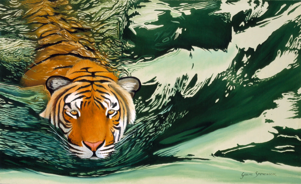 Tiger Waters Poster Print by Graeme Stevenson showcasing a tiger in serene waters.