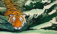 Tiger Waters Poster Print by Graeme Stevenson showcasing a tiger in serene waters.