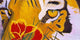 Tiger Eye Poster Print by Graeme Stevenson showcasing vibrant colors and wildlife beauty.