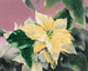 December Poster Print by Haruyo Morita showcasing winter beauty