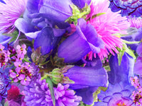 Blue Fairy Bells Poster Print by Alixandra Mullins showcasing delicate blue flowers.