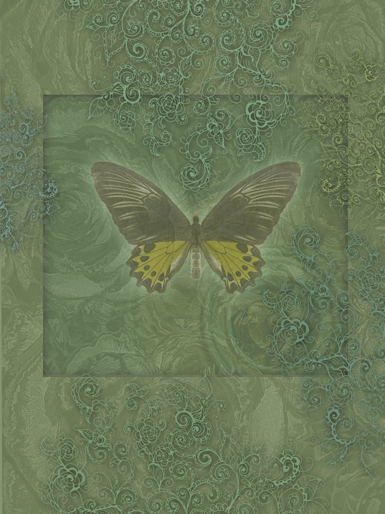 Butterfly Greens Poster Print by Alixandra Mullins showcasing colorful butterflies on a lush green background.